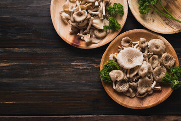 Fresh edible mushroom (Lentinus squarrosulus) in natural plate on wooden background, Organic food...