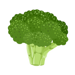 ブロッコリーのイラスト