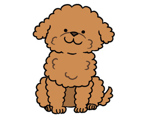 おすわりトイプードルブラウン