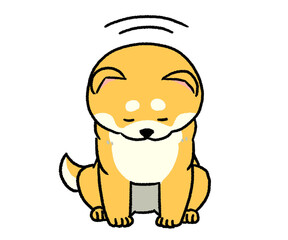 お辞儀している茶色い柴犬