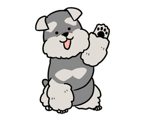 片手を挙げているシュナウザー