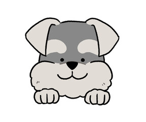 シュナウザーの顔