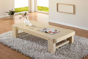 거실의 낮은 테이블과 카페트