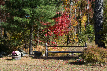 bench in autumn park