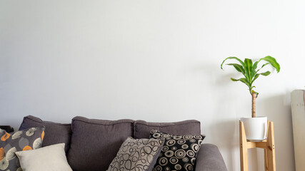 decorative  dracaena fragrans massangeana plant in a pot, placed next to a gray sofa in a living....