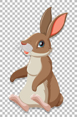 Cute rabbit on grid background
