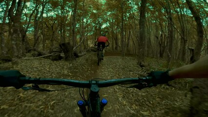 POV Extreme mountain biking down dirt trail - Powered by Adobe