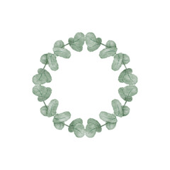 Watercolor eucalyptus leaf.