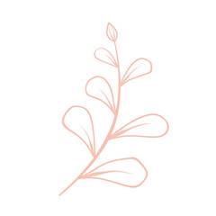 Beige color doodle line art flower and leaf.