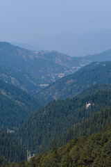 Fototapeta na wymiar Beautiful view of mountain valley of cedar trees. Himachal pradesh