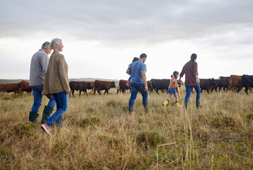 Family together, cattle field and business with people you love. Countryside farmer parents walking in meadow with children to bond. Relationship with kids and sharing ranch for next generation.