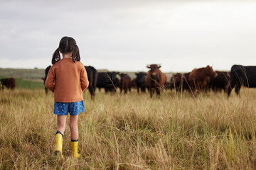 Little girl learning agriculture on a sustainability farm with cattle and exploring nature...