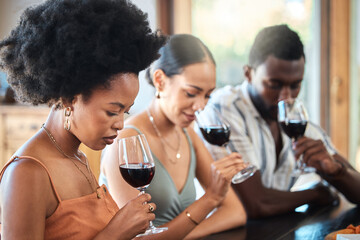 Friends red wine tasting fine dining experience at a vineyard restaurant for about us and hospitality. Group of black people glass of luxury, quality alcohol drink in a winery business or industry