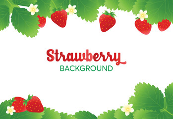Strawberry illustration for background