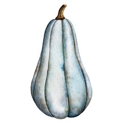 Pumpkin watercolor illustration. Thanksgiving. Halloween.