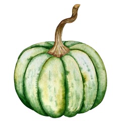Pumpkin watercolor illustration. Thanksgiving. Halloween.