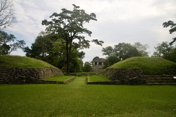 garden in the park