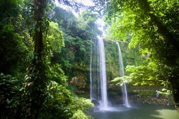 waterfall in the forest