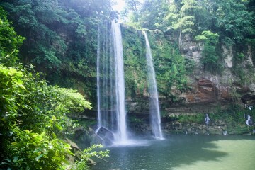 waterfall in the forest