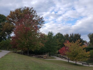 autumn in the park