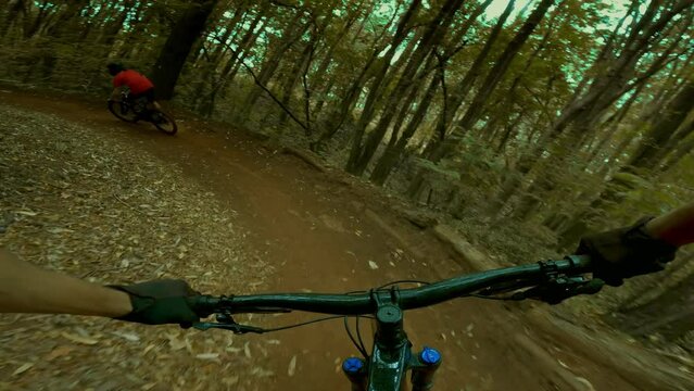 Mountain biking extreme POV down forest trail 