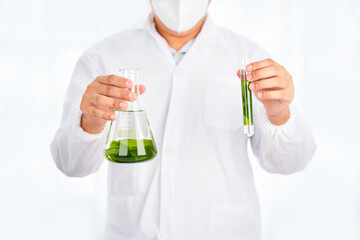 Asian scientist with science research biology with seaweed or kelp in the laboratory on white background                                                         