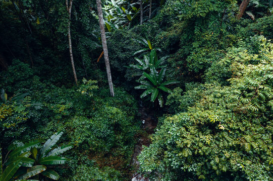 Waterfall in tropical forest,waterfall in jungle