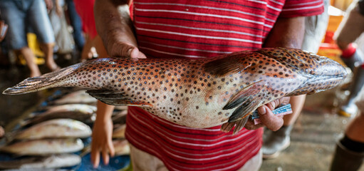Java, Indonesia, June 13, 2022 - Large spotted fish being held by vendor in fish market.