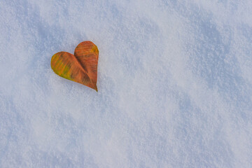 a dry leaf in the shape of a heart in the snow