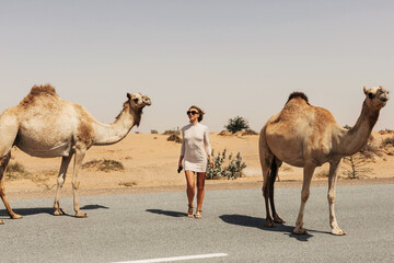 A young female tourist in sunglasses stands on the side of the road surrounded by a herd of camels, Dubai, UAE.