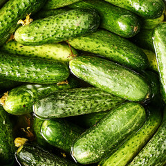 harvest of fresh green cucumbers close-up background backdrop