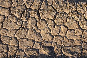 Dry cracked earth, soil, sand texture abstract background. Global warming, climate change, ecological concept. Summer heat