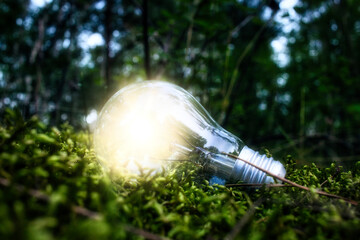 Glühbirne im Moos  - Environment - Ecology - High quality photo - lightbulb on a field- green...