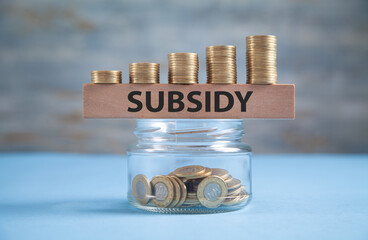Glass jar of coins with a word Subsidy on wooden block.