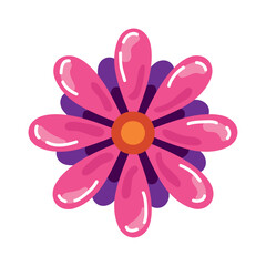 pink flower garden