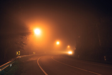 Fototapeta na wymiar fog at night road and orange trees