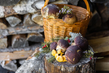 Forest mushroom boletus, cep, porcini, chanterelle collected in a wooden wicker basket. Late summer...