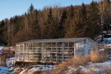 Greenhouses in Flúðir