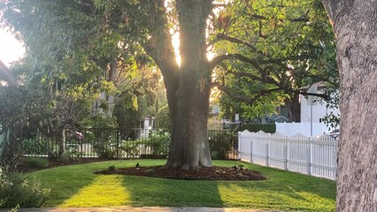 Sunny Afternoon Scenery Outside A House With Lush Garden In A Neighborhood In Los Angeles. Tilting Up
