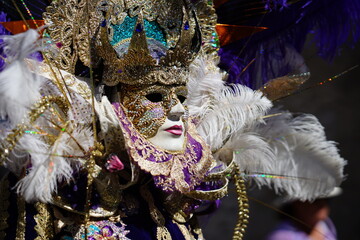 Maschera veneziana alla sfilata