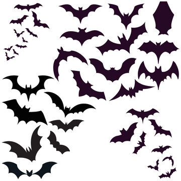 Bat icon vector set. Halloween illustration sign collection. vampire symbol or logo.