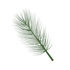 Christmas tree branch vector illustration.