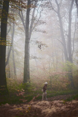 Jeune fille qui se prom&egrave;ne dans la for&ecirc;t en automne