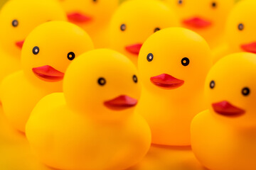 Closeup of Rubber yellow duck on yellow background.