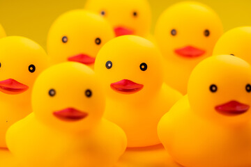 Closeup of Rubber yellow duck on yellow background.