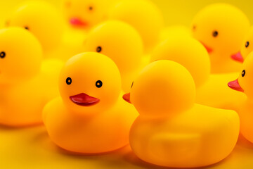 Closeup of Rubber yellow duck on yellow background.