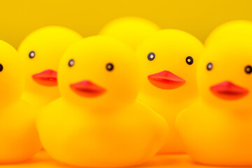 Closeup of Rubber yellow duck on yellow background.