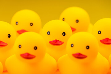 Closeup of Rubber yellow duck on yellow background.