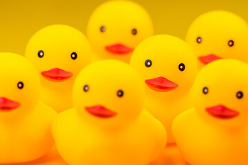 Closeup of Rubber yellow duck on yellow background.