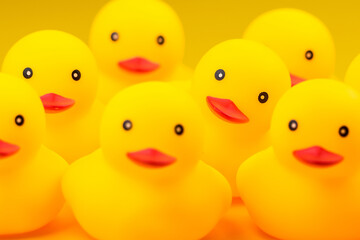 Closeup of Rubber yellow duck on yellow background.